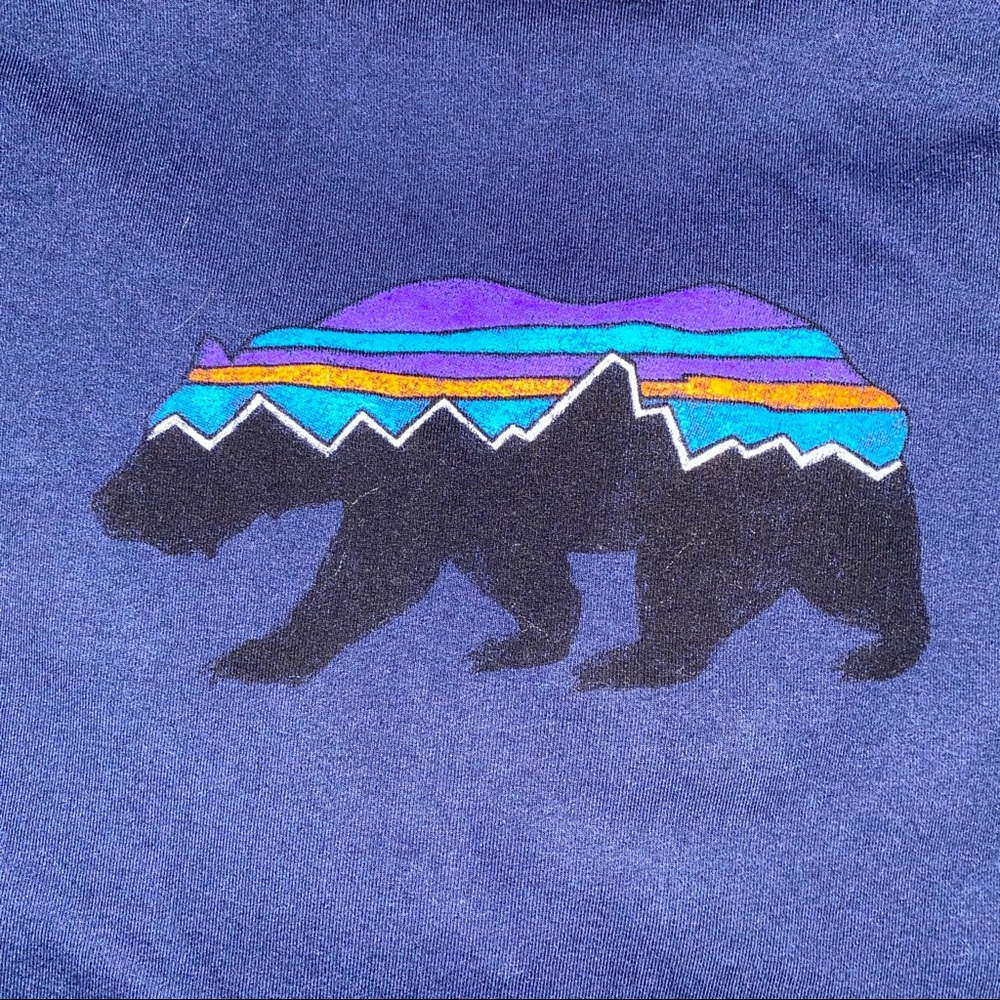 Men’s Patagonia Hoodie